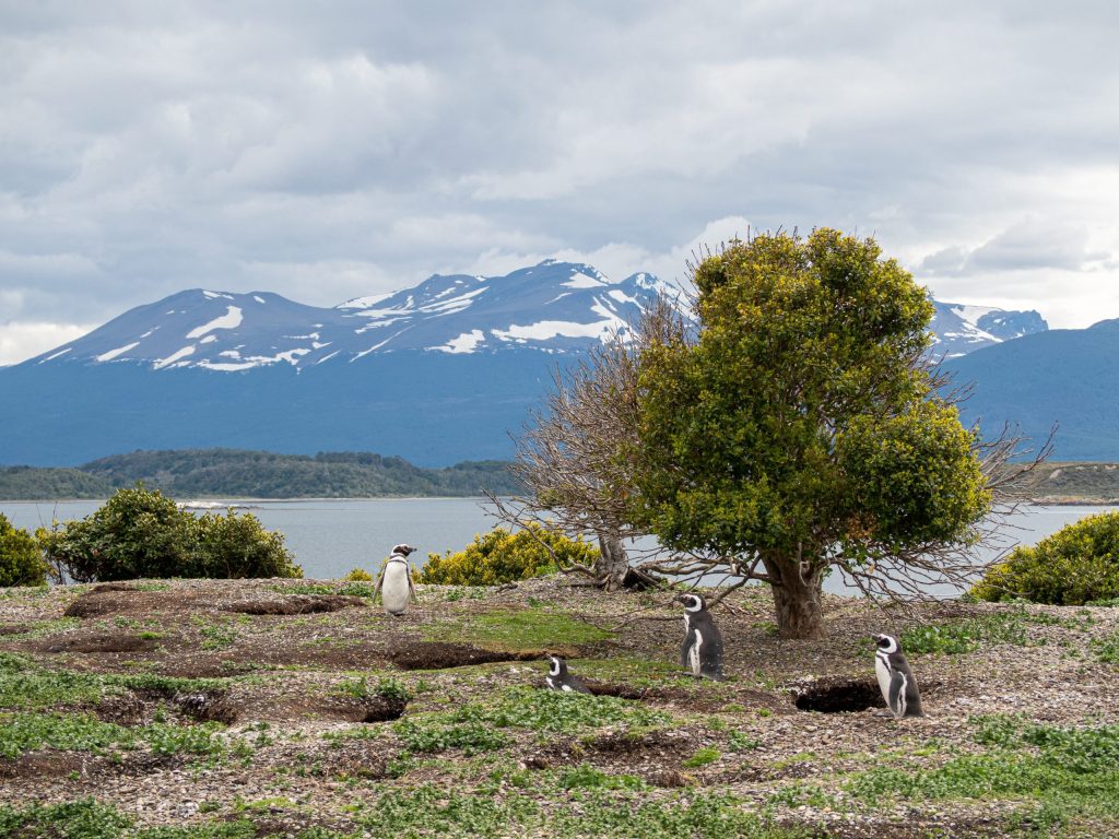 Tierra Del Fuego, Argentina