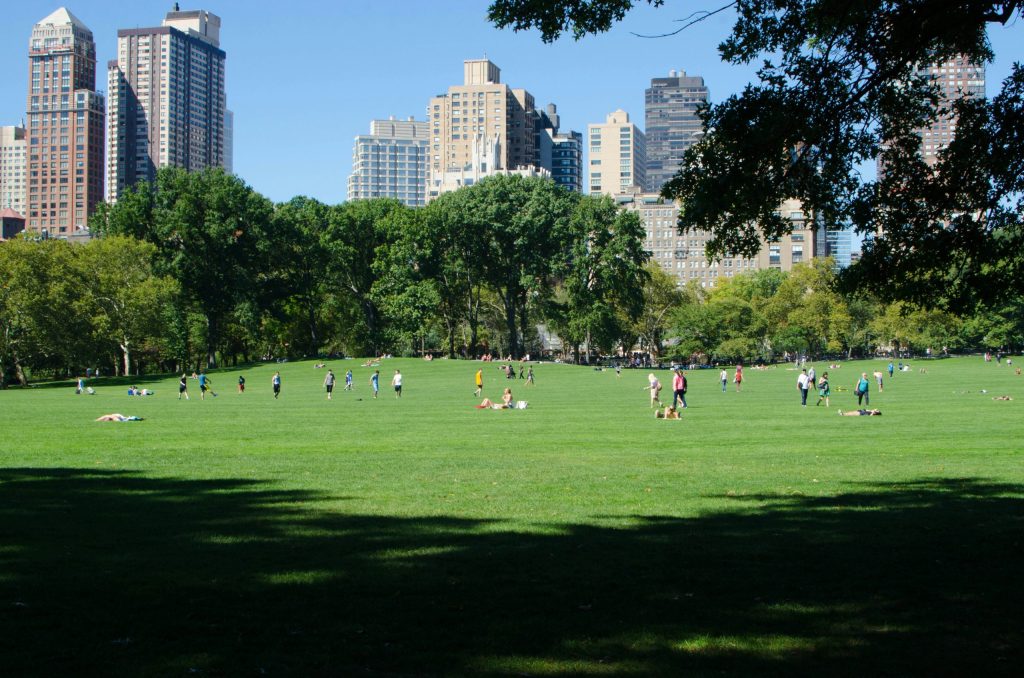 Central park, New York