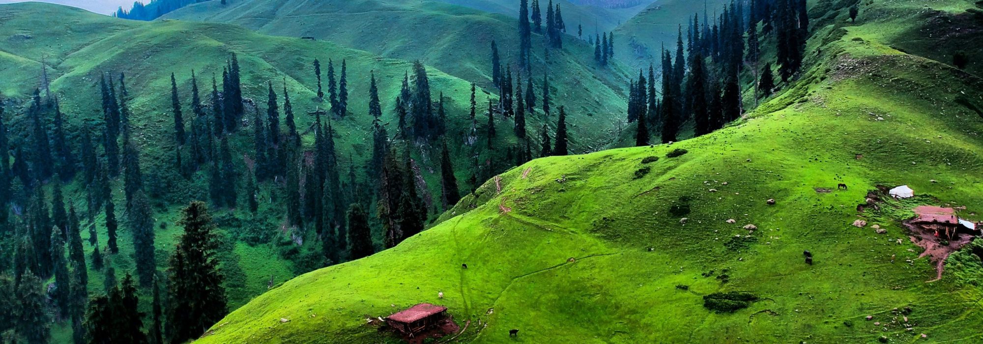 muhammad-khubaib-sarfraz-hkwb8pn_8mu-unsplash