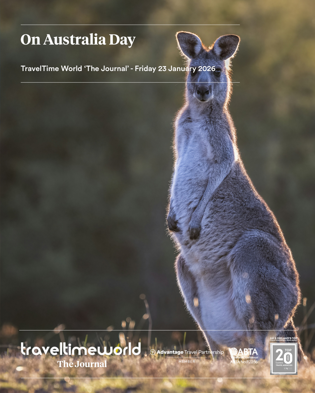 australia-day australia-day