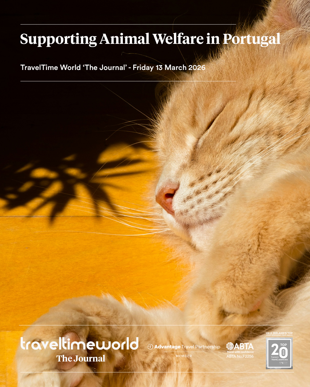 supporting-animal-welfare-on-the-algarve supporting-animal-welfare-on-the-algarve