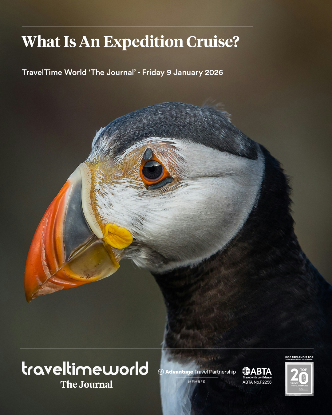 what-is-an-expedition-cruise what-is-an-expedition-cruise