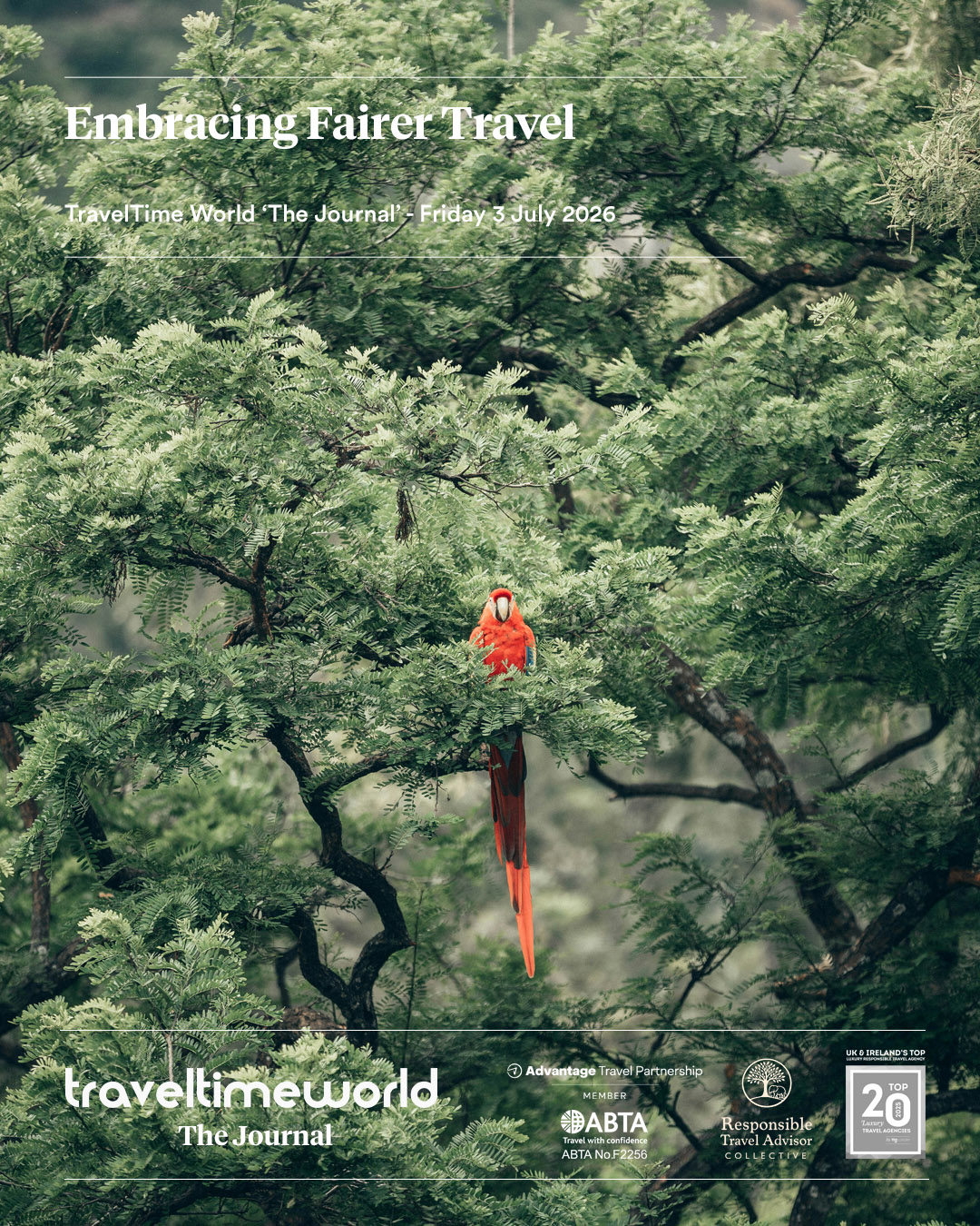 embracing-fairer-travel Embracing Fairer Travel