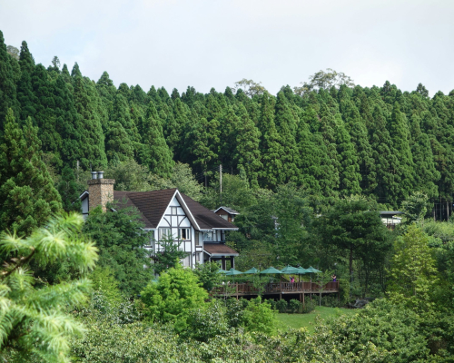 arthur-tseng-_q1f-zbwxv4-unsplash