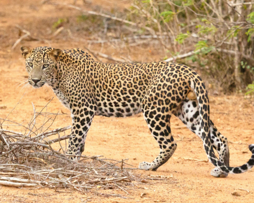 geoff-brooks-3twthgdeuza-unsplash-1