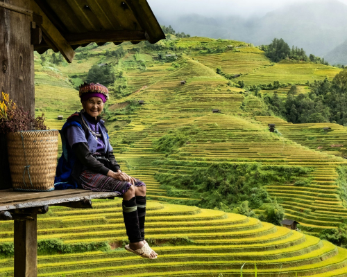 hai-tran-gfeikojnpjy-unsplash-2