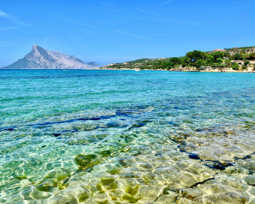 massimo-virgilio-vwwie9y1sf4-unsplash