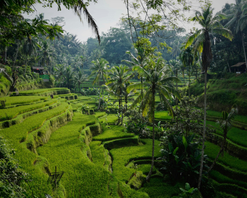 Bali, Indonesia