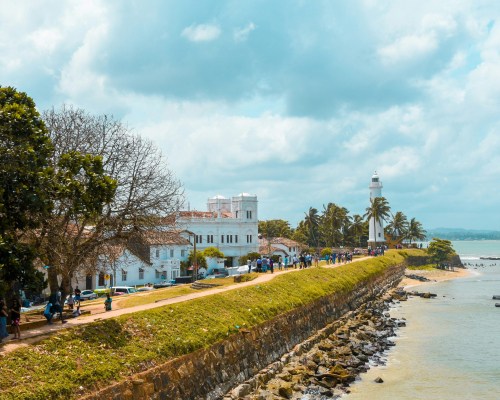 nilanka-kariyawasam-jh-y6aonhf8-unsplash