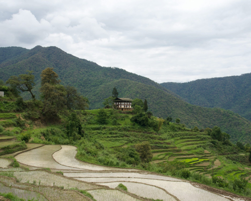 sanjeev-bhambri-dyig59566o4-unsplash Punakha