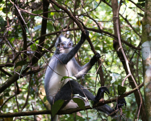 thomas-gabernig-gecrfq_bklq-unsplash